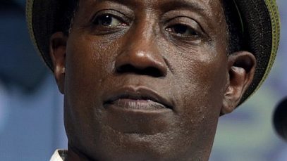 Wesley_Snipes_(41969097750)_(cropped)