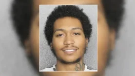 téléchargement (10)