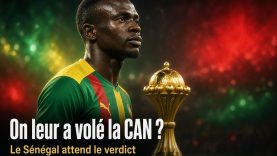 image (12)